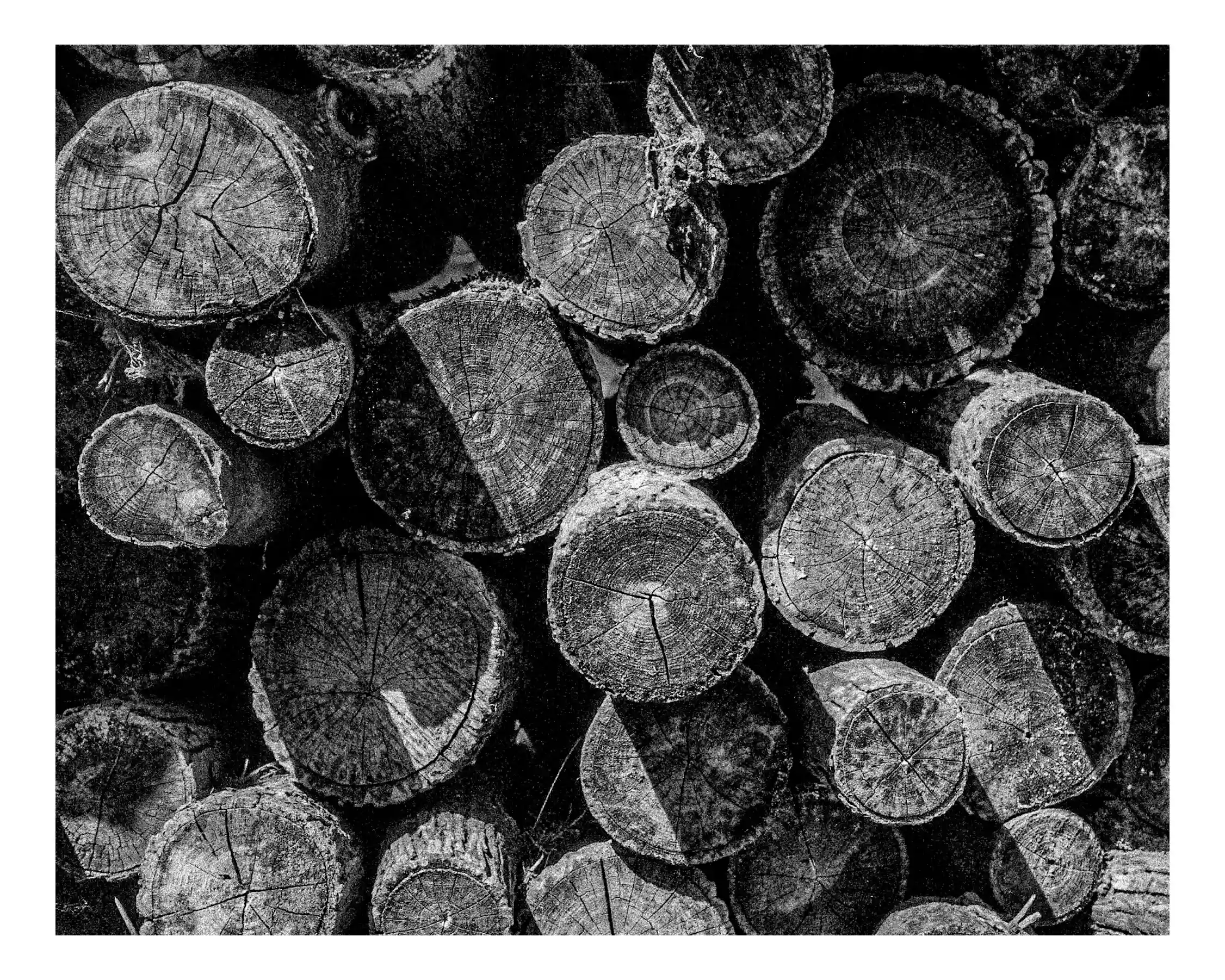 Ages of Wood